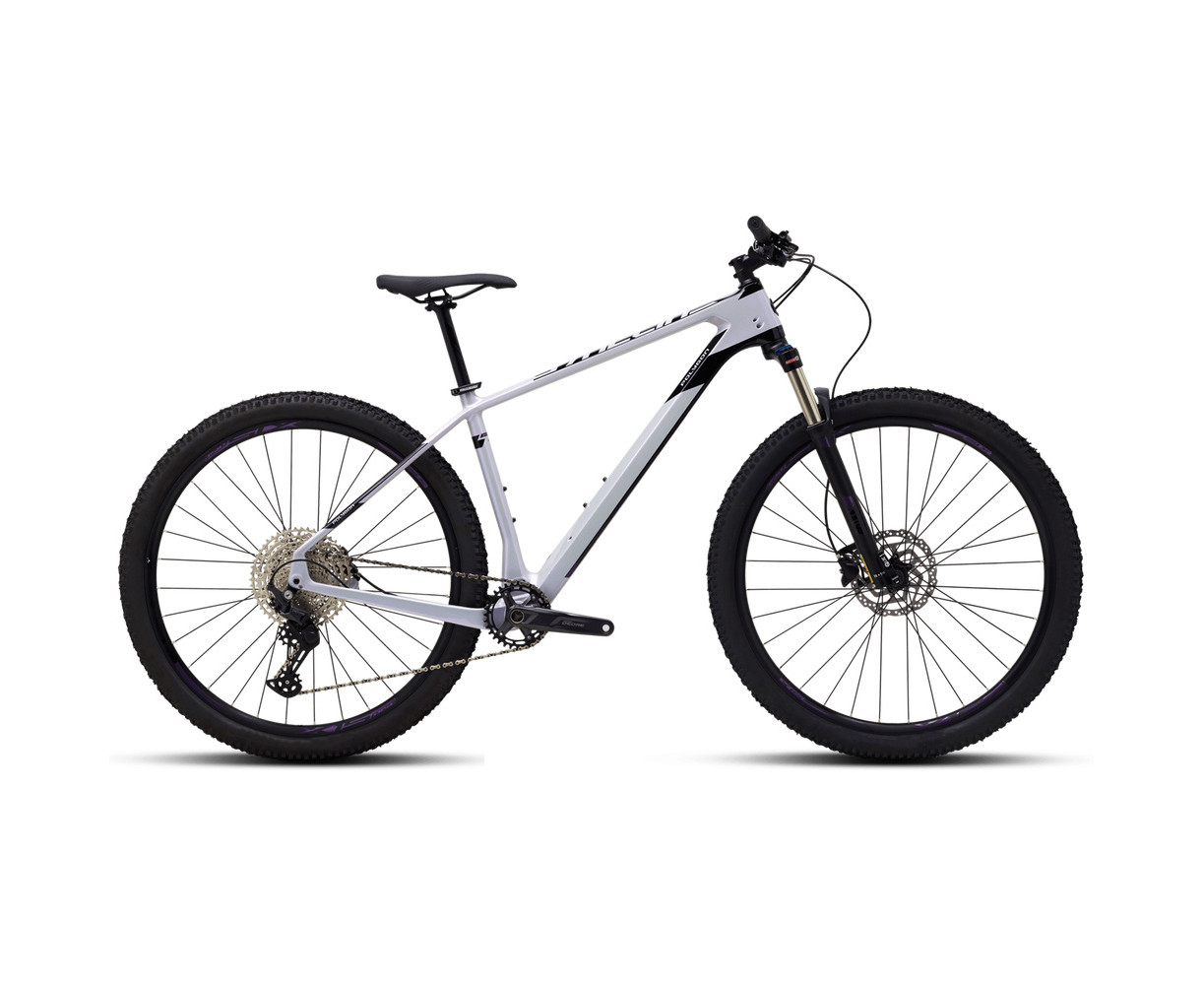 Dviratis POLYGON SYNCLINE C2