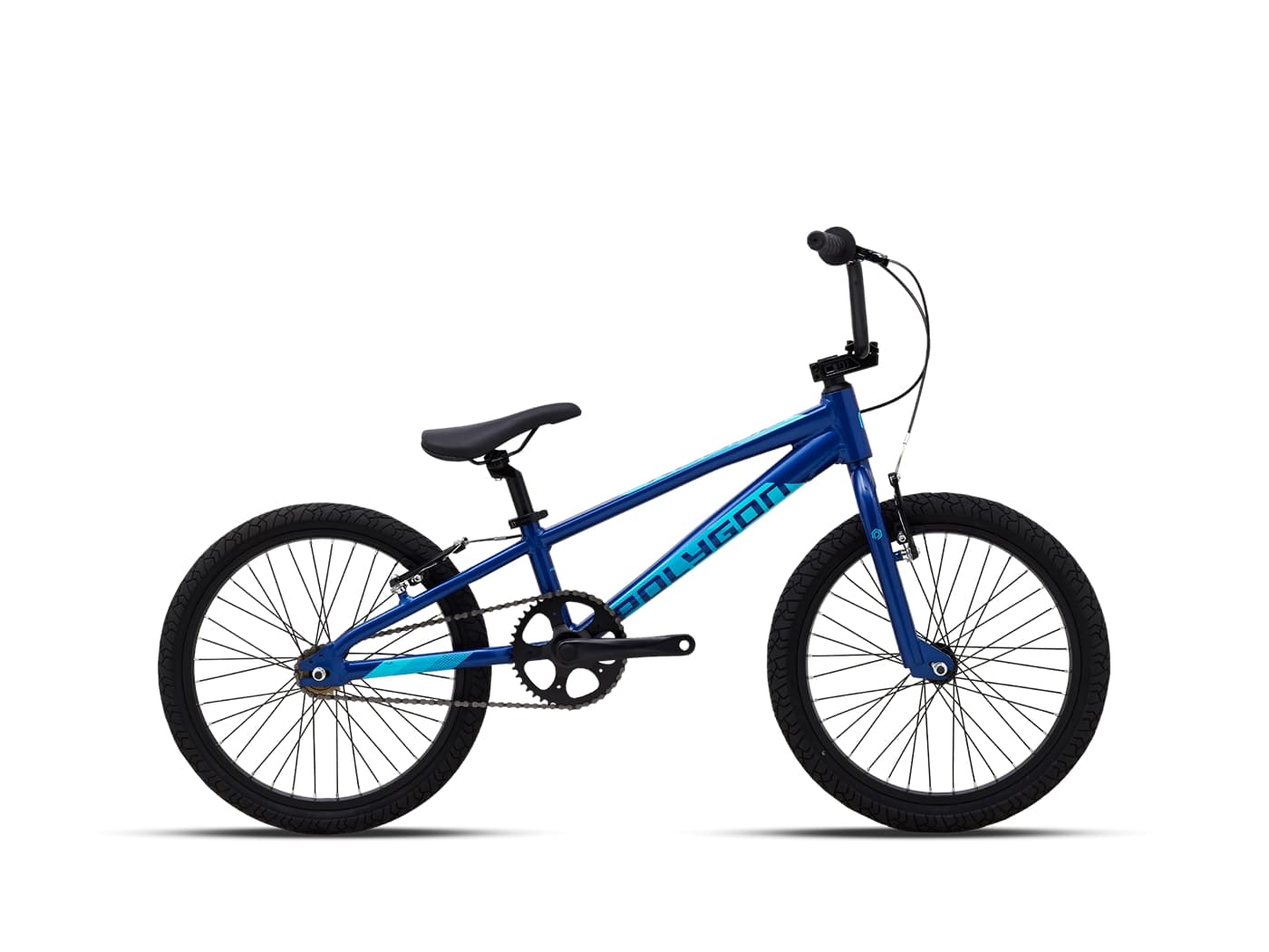 Dviratis POLYGON ROGUE